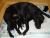 assets/Uploads/_resampled/SetWidth50-DSC00037600x450600x450.jpg