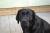 assets/Uploads/_resampled/SetWidth50-moje-holky-144600x400.jpg