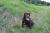 assets/Uploads/_resampled/SetWidth50-vrh-Beauty-011600x400.jpg