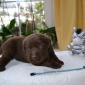 #1206